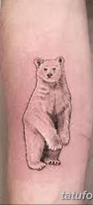 фото тату белый медведь от 03.12.2017 №074 — white bear tattoo — tatufoto.com