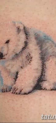 фото тату белый медведь от 03.12.2017 №080 — white bear tattoo — tatufoto.com