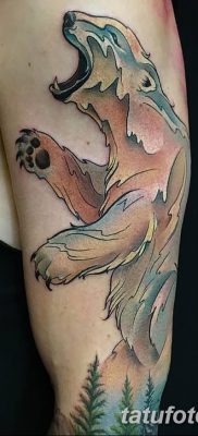 фото тату белый медведь от 03.12.2017 №113 — white bear tattoo — tatufoto.com