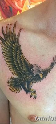 фото тату беркут от 10.12.2017 №001 — golden eagle tattoos — tatufoto.com