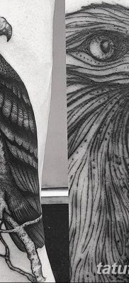 фото тату беркут от 10.12.2017 №003 — golden eagle tattoos — tatufoto.com