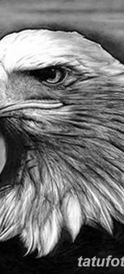 фото тату беркут от 10.12.2017 №013 — golden eagle tattoos — tatufoto.com