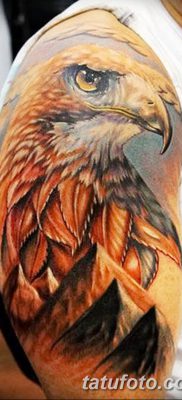 фото тату беркут от 10.12.2017 №015 — golden eagle tattoos — tatufoto.com