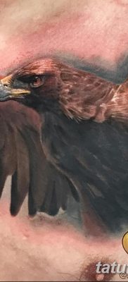 фото тату беркут от 10.12.2017 №016 — golden eagle tattoos — tatufoto.com