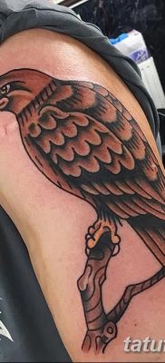фото тату беркут от 10.12.2017 №017 — golden eagle tattoos — tatufoto.com