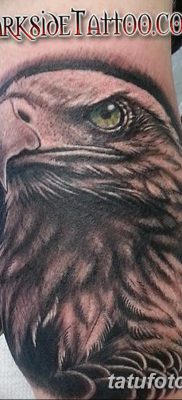 фото тату беркут от 10.12.2017 №027 — golden eagle tattoos — tatufoto.com
