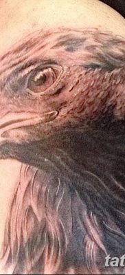 фото тату беркут от 10.12.2017 №028 — golden eagle tattoos — tatufoto.com