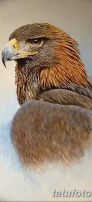 фото тату беркут от 10.12.2017 №029 — golden eagle tattoos — tatufoto.com