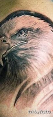 фото тату беркут от 10.12.2017 №036 — golden eagle tattoos — tatufoto.com