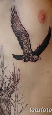фото тату беркут от 10.12.2017 №039 — golden eagle tattoos — tatufoto.com