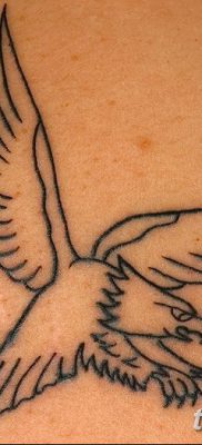 фото тату беркут от 10.12.2017 №040 — golden eagle tattoos — tatufoto.com