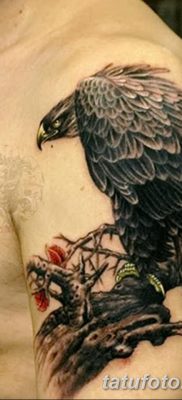 фото тату беркут от 10.12.2017 №042 — golden eagle tattoos — tatufoto.com