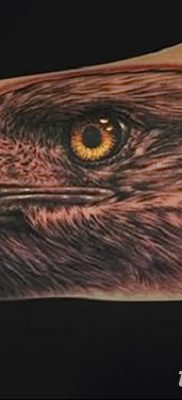 фото тату беркут от 10.12.2017 №043 — golden eagle tattoos — tatufoto.com