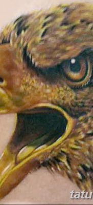фото тату беркут от 10.12.2017 №044 — golden eagle tattoos — tatufoto.com
