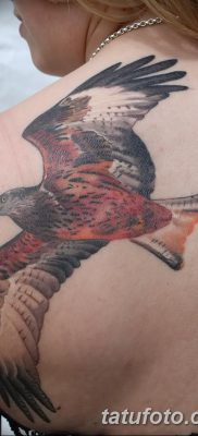 фото тату беркут от 10.12.2017 №049 — golden eagle tattoos — tatufoto.com