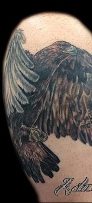 фото тату беркут от 10.12.2017 №052 — golden eagle tattoos — tatufoto.com