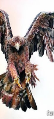 фото тату беркут от 10.12.2017 №054 — golden eagle tattoos — tatufoto.com