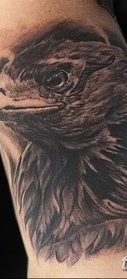 фото тату беркут от 10.12.2017 №055 — golden eagle tattoos — tatufoto.com