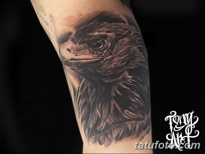 фото тату беркут от 10.12.2017 №055 - golden eagle tattoos - tatufoto.com