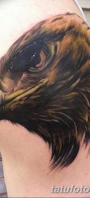 фото тату беркут от 10.12.2017 №057 — golden eagle tattoos — tatufoto.com