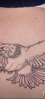 фото тату беркут от 10.12.2017 №058 — golden eagle tattoos — tatufoto.com 23562634254