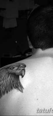 фото тату беркут от 10.12.2017 №062 — golden eagle tattoos — tatufoto.com