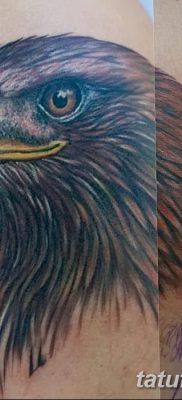 фото тату беркут от 10.12.2017 №066 — golden eagle tattoos — tatufoto.com
