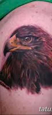 фото тату беркут от 10.12.2017 №067 — golden eagle tattoos — tatufoto.com