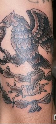 фото тату беркут от 10.12.2017 №068 — golden eagle tattoos — tatufoto.com