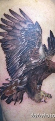 фото тату беркут от 10.12.2017 №070 — golden eagle tattoos — tatufoto.com