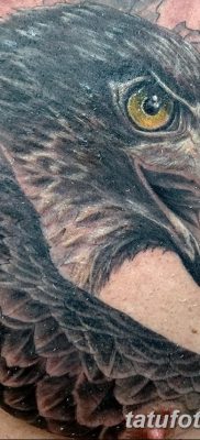 фото тату беркут от 10.12.2017 №075 — golden eagle tattoos — tatufoto.com