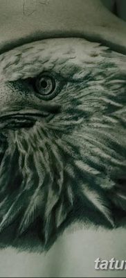 фото тату беркут от 10.12.2017 №076 — golden eagle tattoos — tatufoto.com