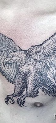 фото тату беркут от 10.12.2017 №077 — golden eagle tattoos — tatufoto.com