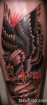 фото тату беркут от 10.12.2017 №078 — golden eagle tattoos — tatufoto.com