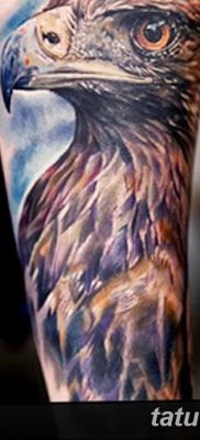 фото тату беркут от 10.12.2017 №079 — golden eagle tattoos — tatufoto.com