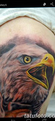 фото тату беркут от 10.12.2017 №080 — golden eagle tattoos — tatufoto.com