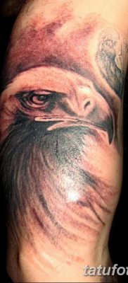 фото тату беркут от 10.12.2017 №081 — golden eagle tattoos — tatufoto.com