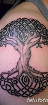 фото тату кельтика от 19.12.2017 №057 — tattoo of the Celtic — tatufoto.com