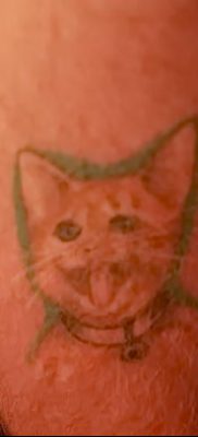 фото тату котенок от 22.12.2017 №003 — tattoo kitten — tatufoto.com