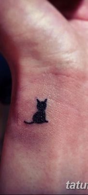 фото тату котенок от 22.12.2017 №011 — tattoo kitten — tatufoto.com