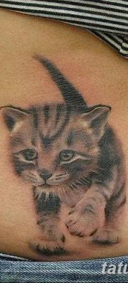 фото тату котенок от 22.12.2017 №012 — tattoo kitten — tatufoto.com
