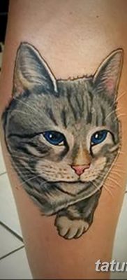 фото тату котенок от 22.12.2017 №019 — tattoo kitten — tatufoto.com