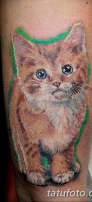 фото тату котенок от 22.12.2017 №021 — tattoo kitten — tatufoto.com