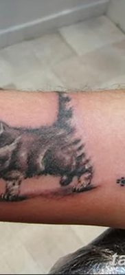 фото тату котенок от 22.12.2017 №026 — tattoo kitten — tatufoto.com
