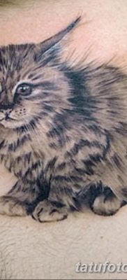фото тату котенок от 22.12.2017 №029 — tattoo kitten — tatufoto.com
