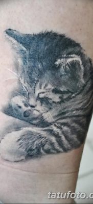 фото тату котенок от 22.12.2017 №037 — tattoo kitten — tatufoto.com