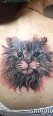 фото тату котенок от 22.12.2017 №047 — tattoo kitten — tatufoto.com