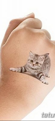 фото тату котенок от 22.12.2017 №048 — tattoo kitten — tatufoto.com