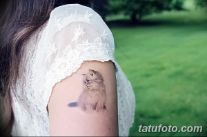 Фото тату: реалистичная татуировка пушистой кошки на плече. Изображение выполнено в серых тонах с высокой детализацией.