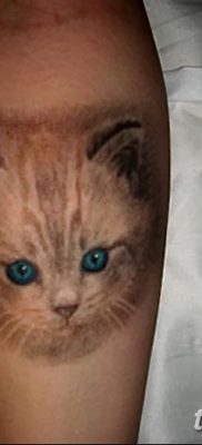фото тату котенок от 22.12.2017 №057 — tattoo kitten — tatufoto.com